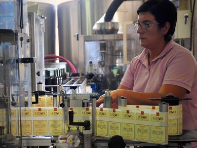 位于法國波爾多核心區(qū)的力多葡萄酒原瓶灌裝生產(chǎn)線