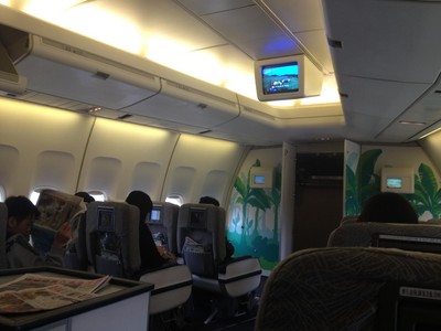 長(zhǎng)榮航空班機(jī)里的熱帶涂鴉率先給旅客上了一堂小清新課。